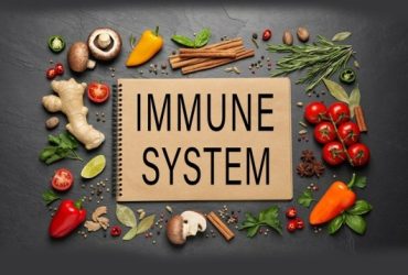 Immune Systeme