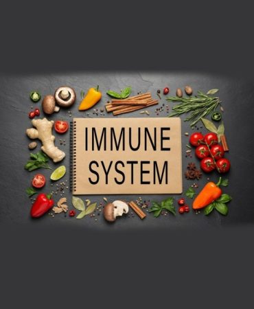 Immune Systeme